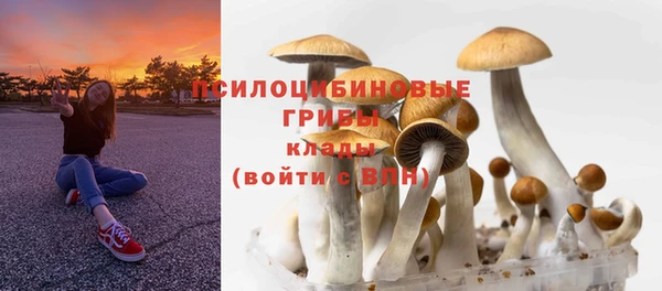 ECSTASY Заволжск
