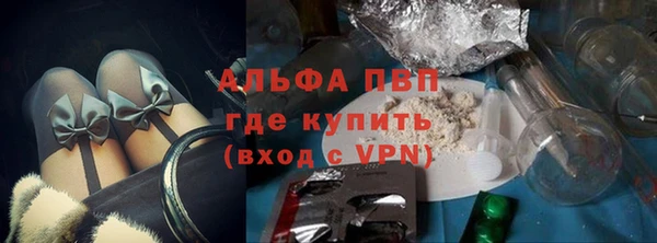 прущие грибы Заводоуковск