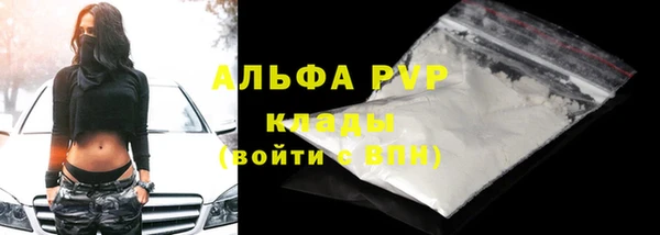 прущие грибы Заводоуковск