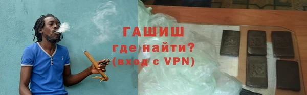 прущие грибы Заводоуковск