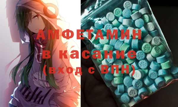 прущие грибы Заводоуковск