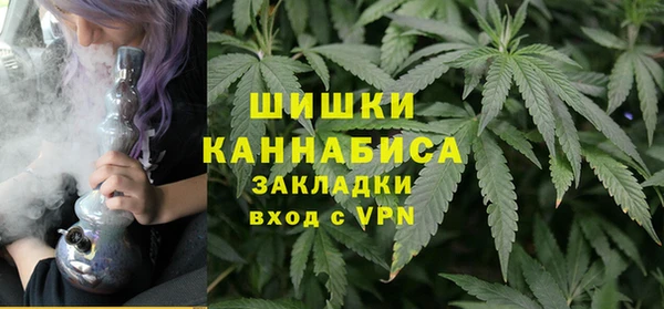 прущие грибы Заводоуковск