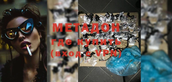 прущие грибы Заводоуковск