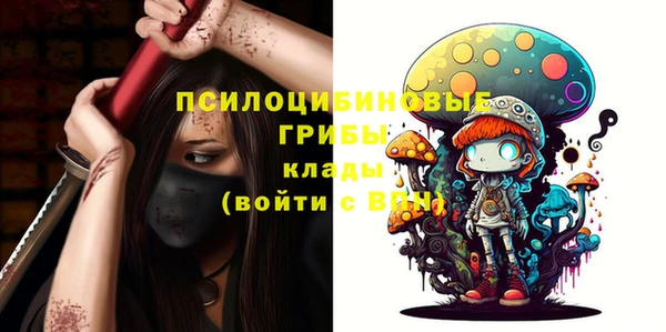 прущие грибы Заводоуковск