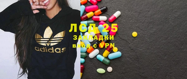 прущие грибы Заводоуковск