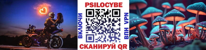 Купить где  Дмитриев  Галлюциногенные грибы MAGIC MUSHROOMS 